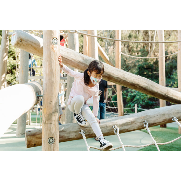 Kids Playground Outdoor Play S – Kids Outdoor Wooden Playset Bewertung und Preis